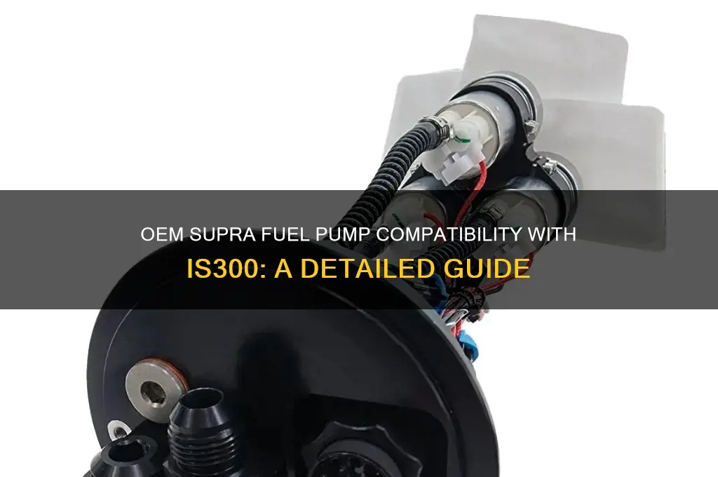 does oem supra fuel pump fit is300