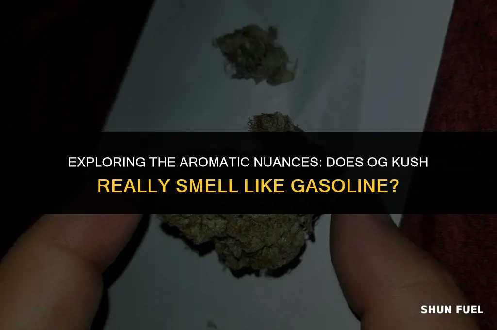 does og kush smell like gasoline