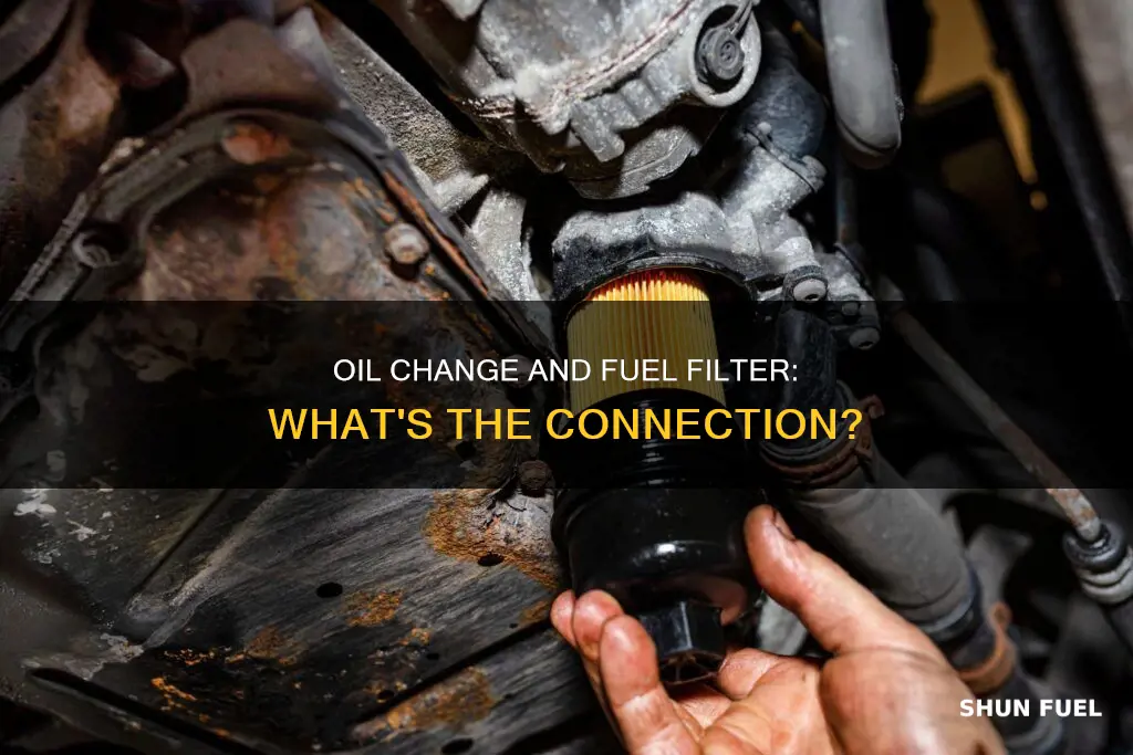 does oil change include fuel filter