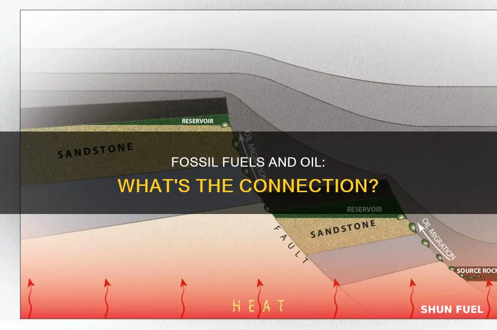 does oil come from fossil fuel