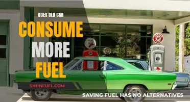 Old Cars: Fuel Guzzlers or Efficient Machines?