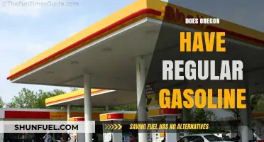 Exploring Fuel Options: Does Oregon Offer Regular Gasoline?