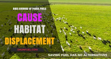 The Impact of Fossil Fuels: Habitat Displacement