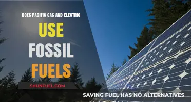 Pacific Gas and Electric: Fossil Fuel Future?