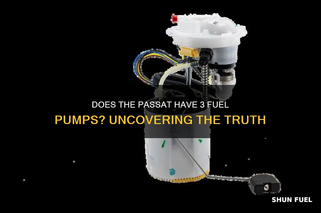 does passat have 3 fuel pumps