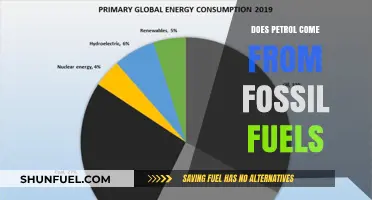 The Origin of Petrol: Fossil Fuels and Beyond