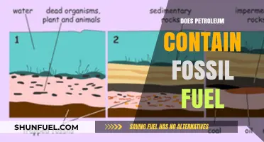 Petroleum: A Fossil Fuel Source?