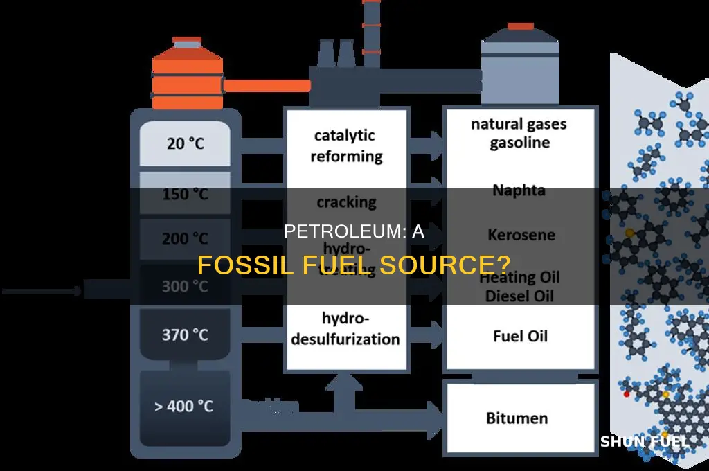 does petroleum contain fossil fuel