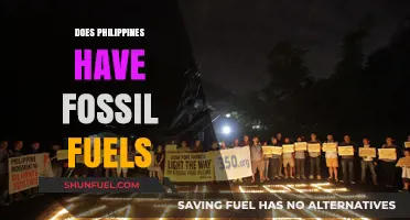 Philippines' Fossil Fuel Sources: What's the Reality?