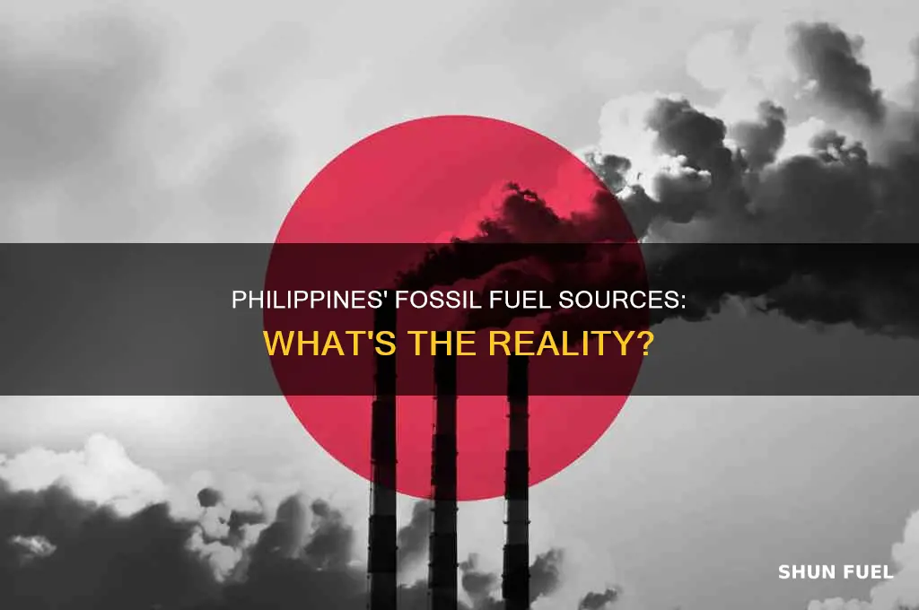 does philippines have fossil fuels