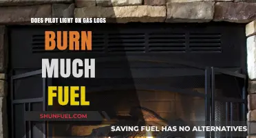 How Much Gas Does a Pilot Light Use?