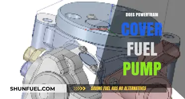 Does Powertrain Warranty Cover Fuel Pump Repairs? Explained