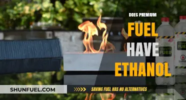 Premium Fuel and Ethanol: Unraveling the Myth of High-Octane Gas