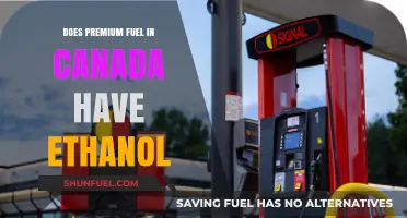 Does Premium Fuel in Canada Contain Ethanol? A Comprehensive Guide