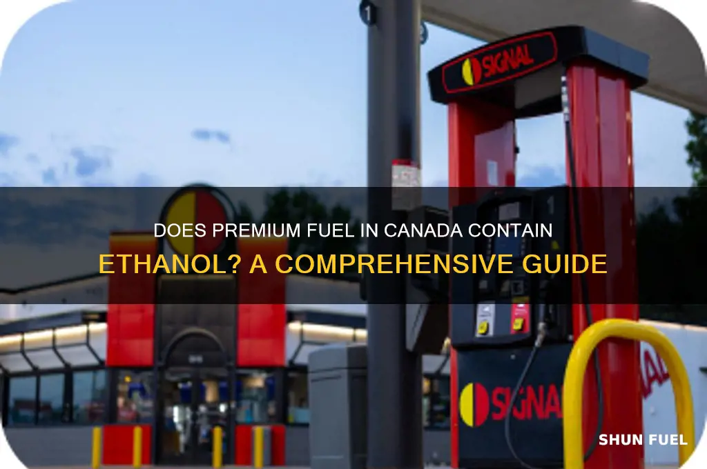 does premium fuel in canada have ethanol