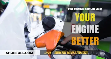 Revving Up Cleanliness: The Truth About Premium Gasoline's Engine Cleaning Claims