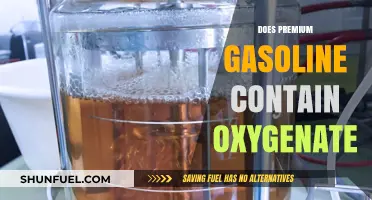 Unleashing the Truth: Does Premium Gasoline Really Contain Oxygenates?