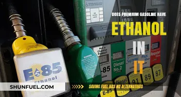 Unveiling the Truth: Ethanol Content in Premium Gasoline