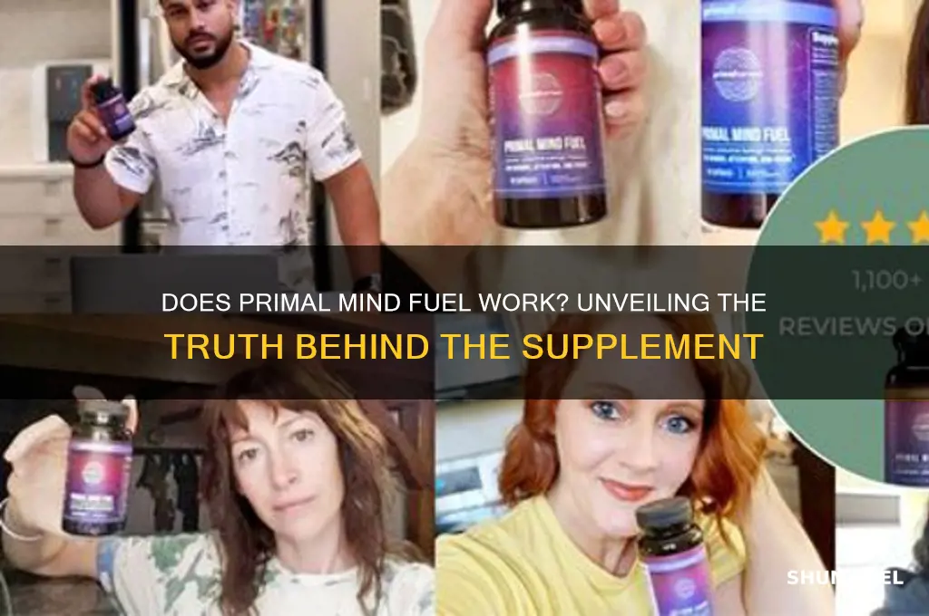 does primal mind fuel work