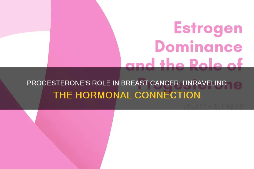 does progesterone fuel breast cancer