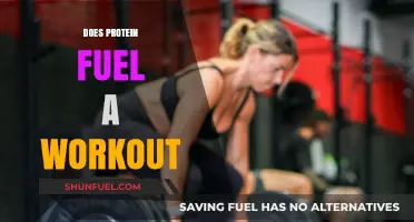 Protein Power: How It Fuels Workouts and Boosts Performance