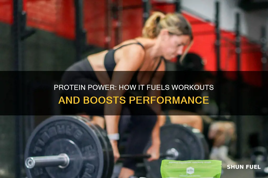 does protein fuel a workout
