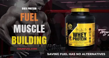 Protein's Role in Muscle Growth: Fueling Strength and Recovery