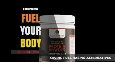 Protein Power: How It Fuels Your Body and Boosts Energy