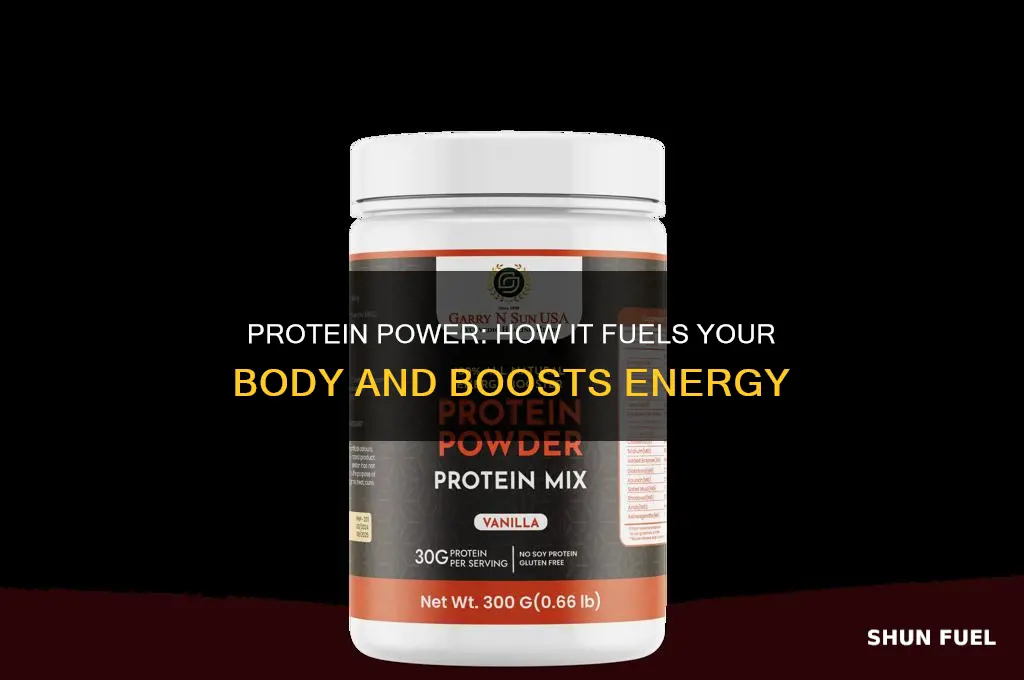 does protein fuel your body