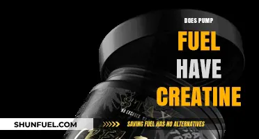 Pump Fuel and Creatine: Unraveling the Ingredients for Optimal Performance