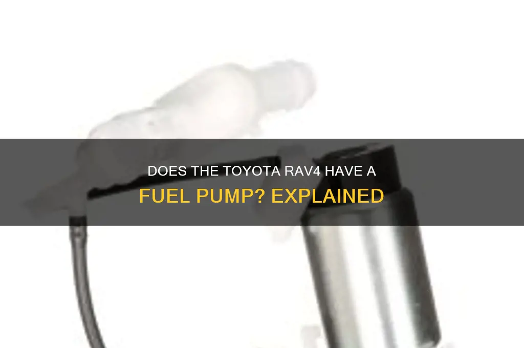 does rav 4 have a fuel pump