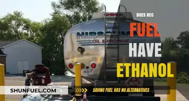 Does Rec Fuel Contain Ethanol? Unveiling the Truth About Its Composition
