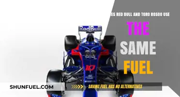 Red Bull vs. Toro Rosso: Same Fuel or Different Strategies?