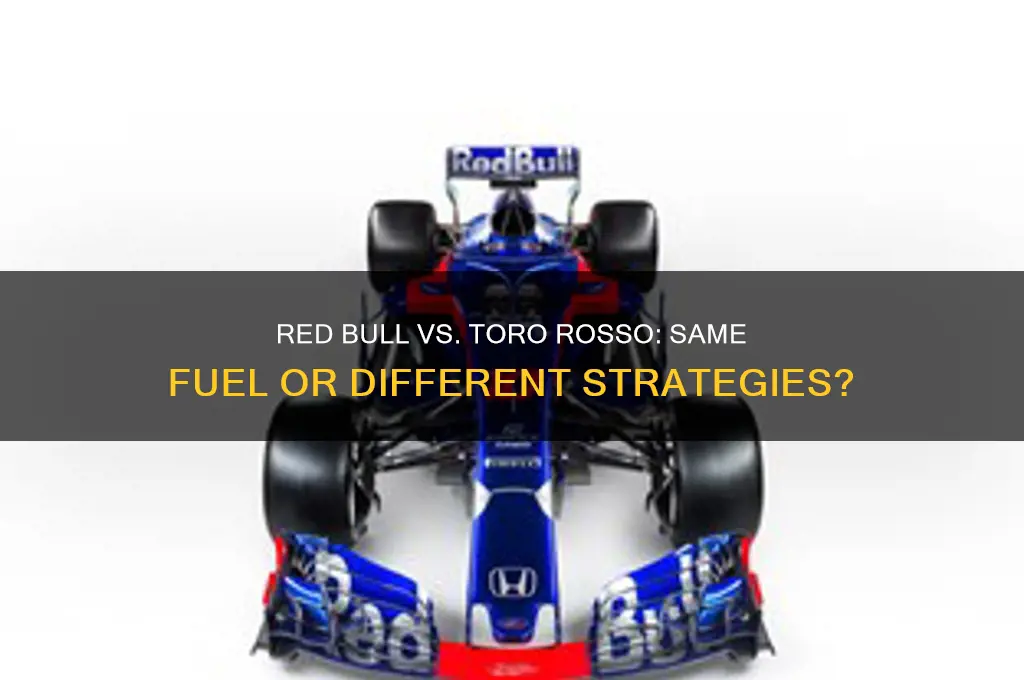 does red bull and toro rosoo use the same fuel