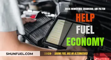 Charcoal Air Filter Removal: Fuel Economy Impact