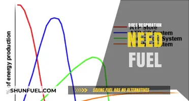 Does Respiration Require Fuel? Unraveling the Energy Source Mystery
