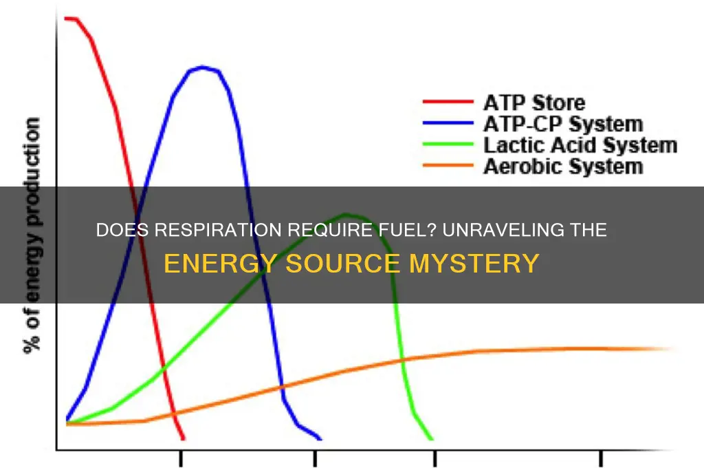 does respiration need fuel