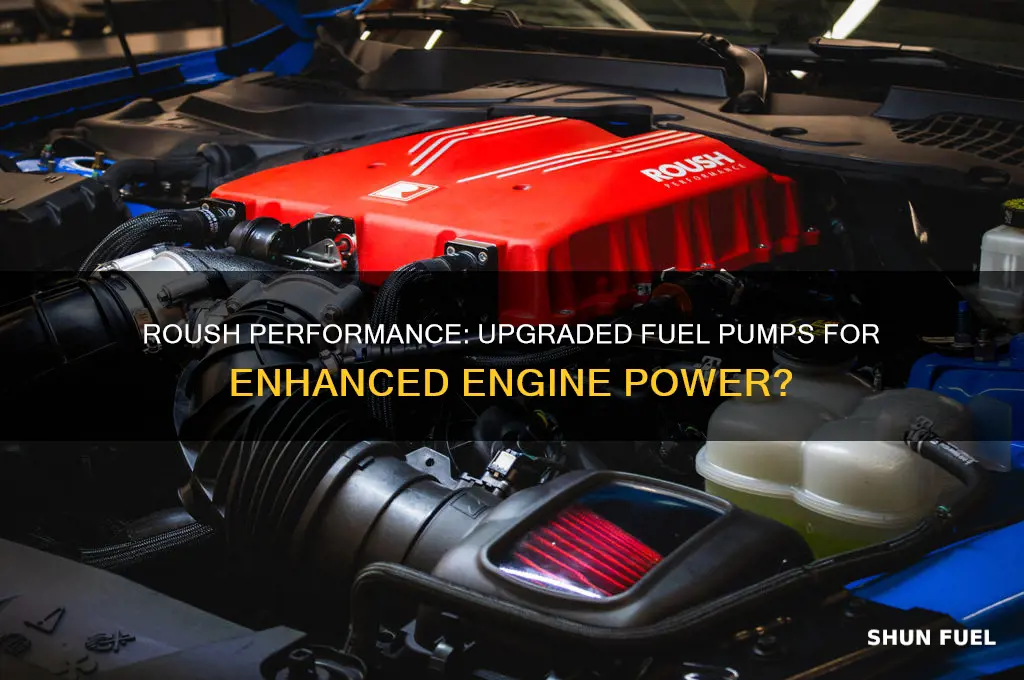 does roush make upgraded fuel pumps