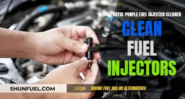 Royal Purple Fuel Injector Cleaner: Does It Work?