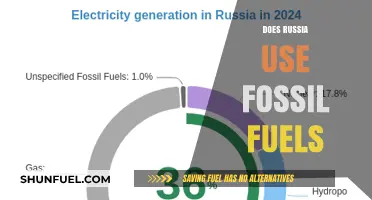 Russia's Energy Sources: Fossil Fuel Dependence