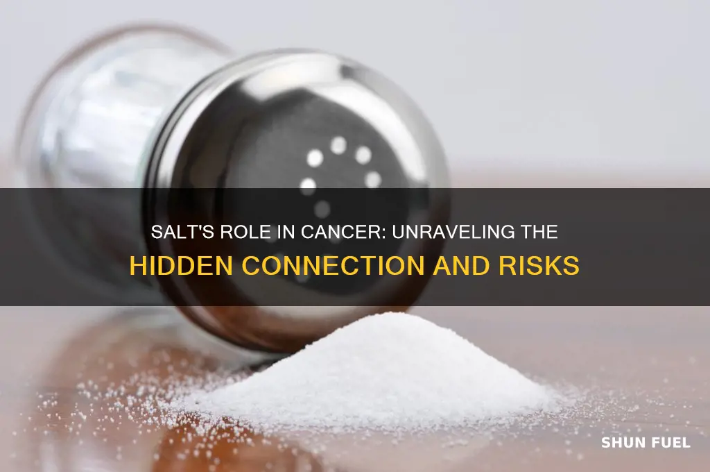 does salt fuel cancer