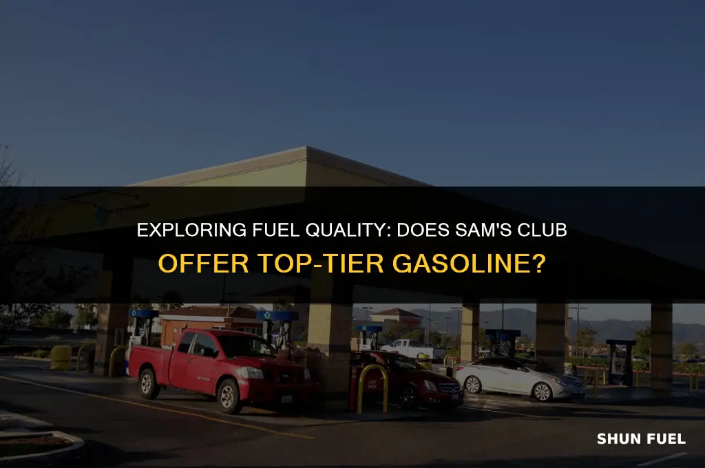 does sam