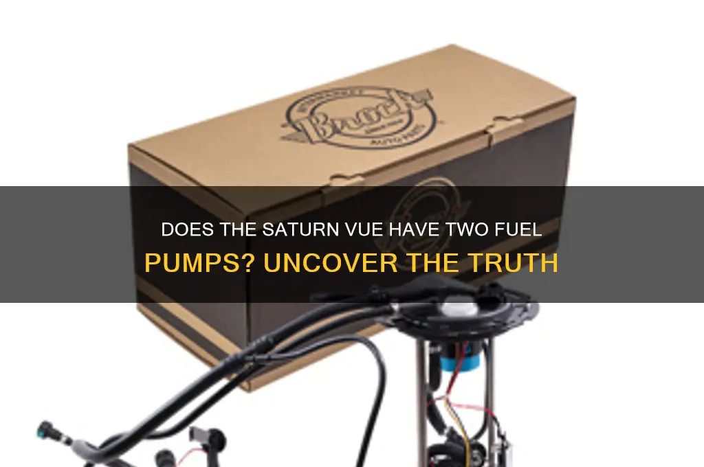 does saturn vue have two fuel pumps