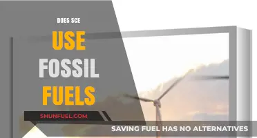 SCE's Fossil Fuel Usage: What's the Truth?