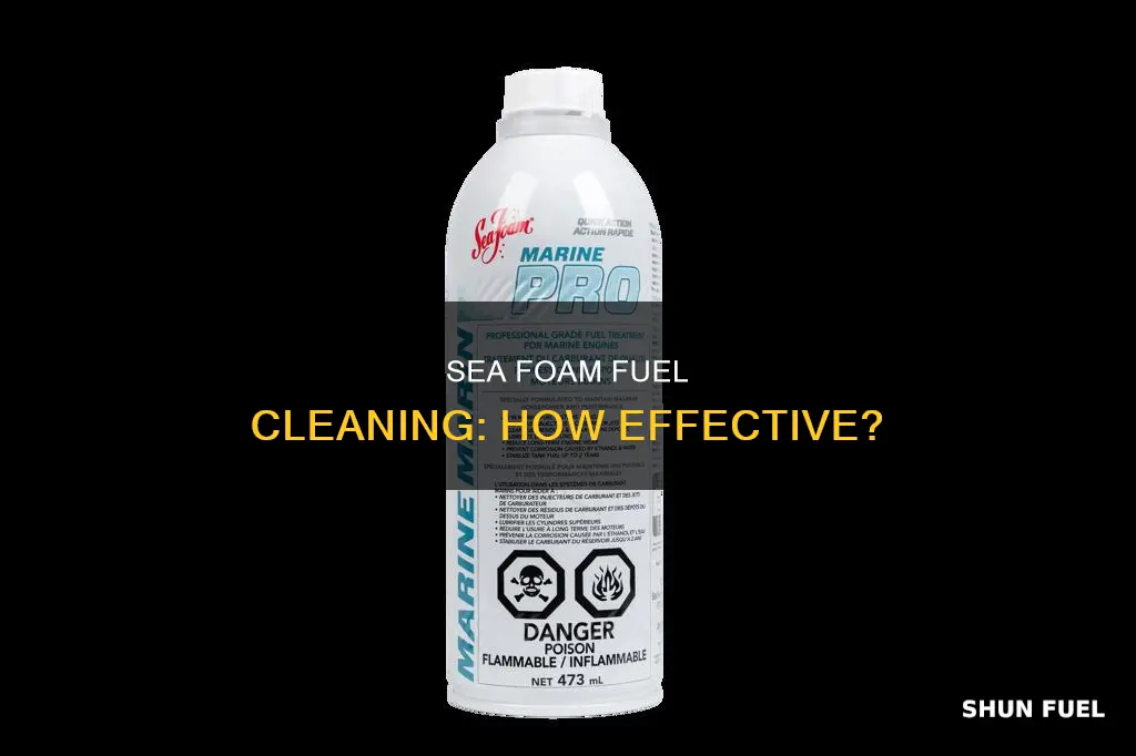does sea foam clean fuel filter