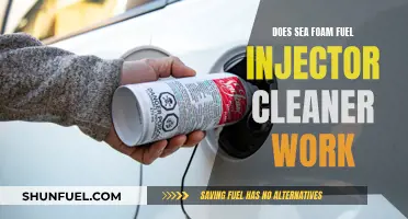Sea Foam Fuel Injector Cleaner: Does It Work?