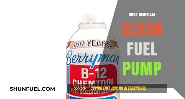 Seafoam Fuel Pump Cleaner: Effective Solution or Myth?