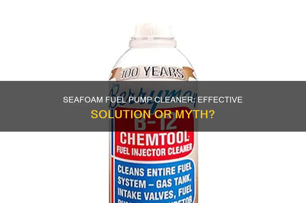 does seafoam clean fuel pump