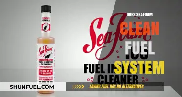Seafoam Fuel System Cleaner: Effective Solution or Overhyped Myth?