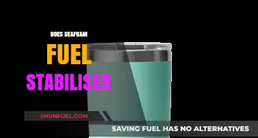Seafoam Fuel Stabilizer: Does It Really Protect Your Engine?